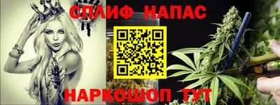 винт Канаш
