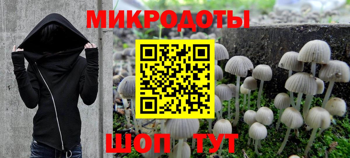 Галлюциногенные грибы мицелий Лабытнанги